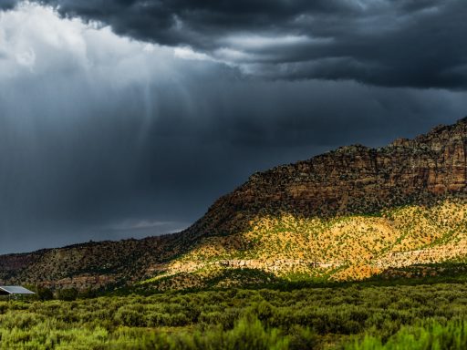 Summer thunderstorm