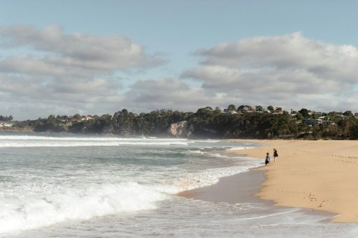 a couple of people walking along a beach next to the ocean