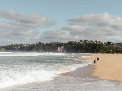 a couple of people walking along a beach next to the ocean