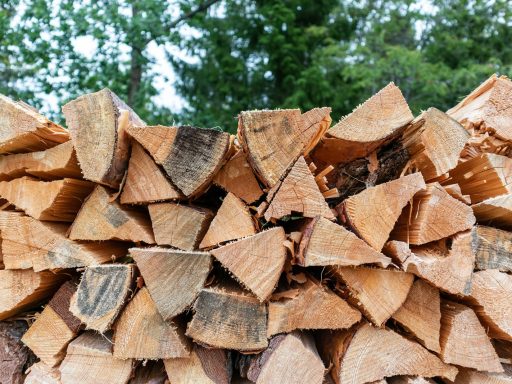 brown firewood lot