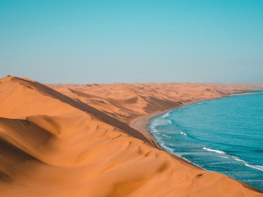 deserts by the beach