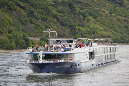 Een riviercruiseschip vaart langs schilderachtige kastelen en wijnbergen op de Rijn in de herfst